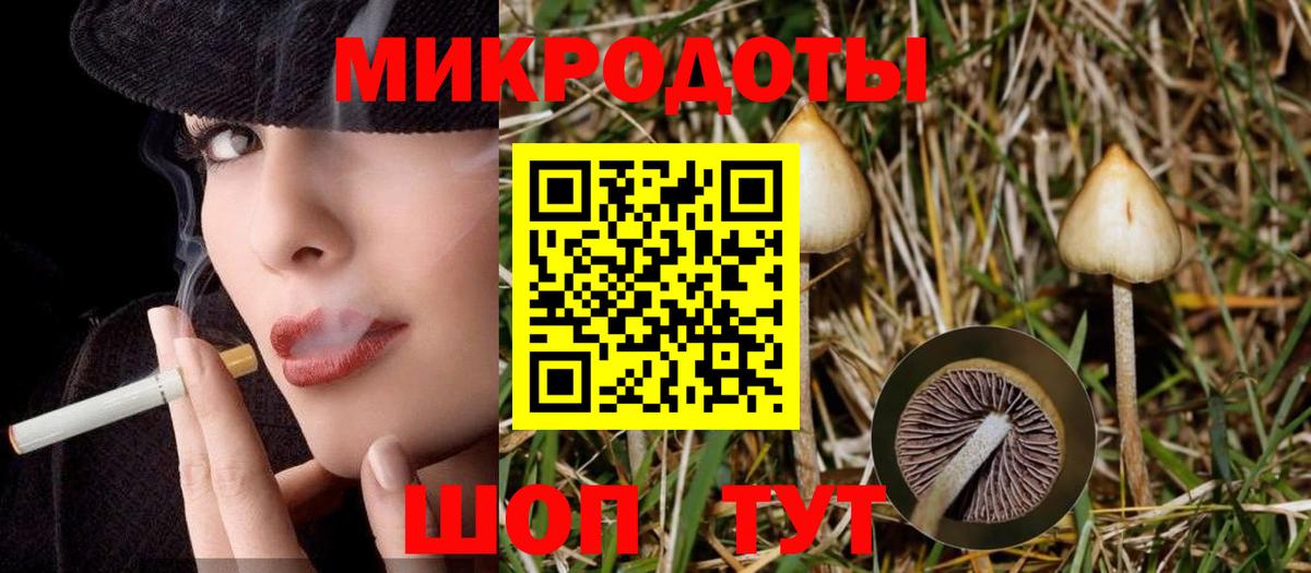 Псилоцибиновые грибы GOLDEN TEACHER Ногинск