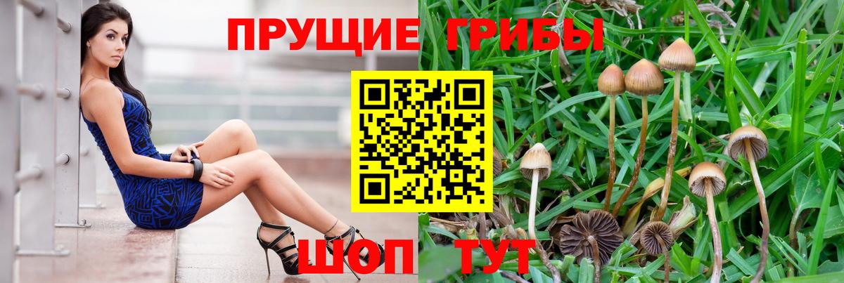 Галлюциногенные грибы Magic Shrooms  Псилоцибиновые грибы Psilocybine cubensis  Вход с VPN  продажа наркотиков  Ногинск 